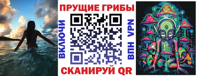 Псилоцибиновые грибы Psilocybe  Бугульма 
